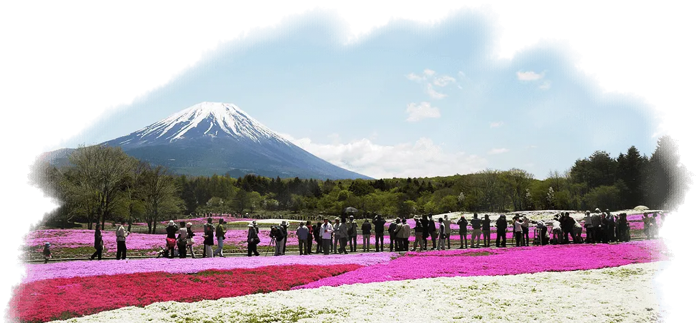Mount Fuji Lake Kawaguchi Lake Motosu Lake Ashi Fuji-Q Highland, fujimountain, landscape, grass, plantation png
